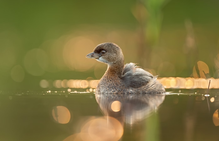 ruben-garcia-588365-unsplash